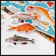 Judgy Fish Puzzle 1000 bitar
